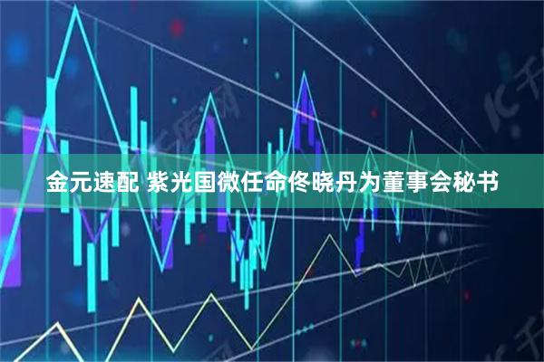 金元速配 紫光国微任命佟晓丹为董事会秘书