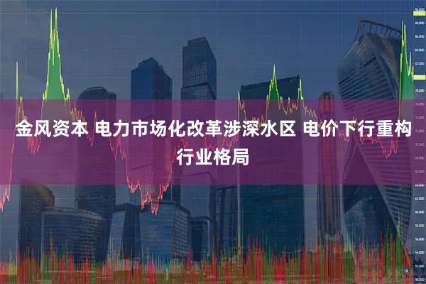 金风资本 电力市场化改革涉深水区 电价下行重构行业格局