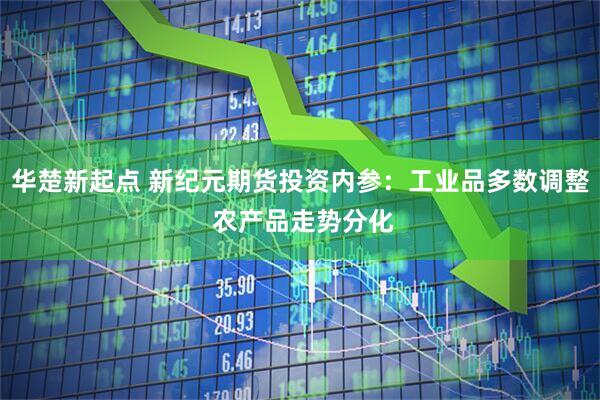 华楚新起点 新纪元期货投资内参：工业品多数调整 农产品走势分化