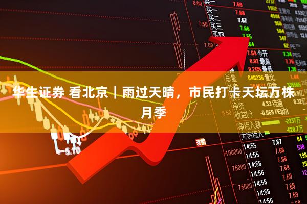 华生证券 看北京｜雨过天晴，市民打卡天坛万株月季